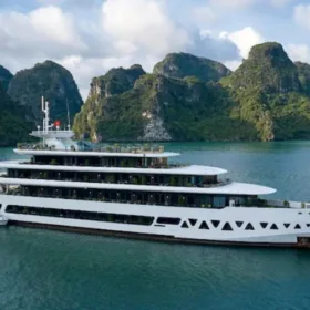 Flexible 2026 Cruise Options and Premium Curated Routes