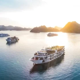 Halong Bay Cruises