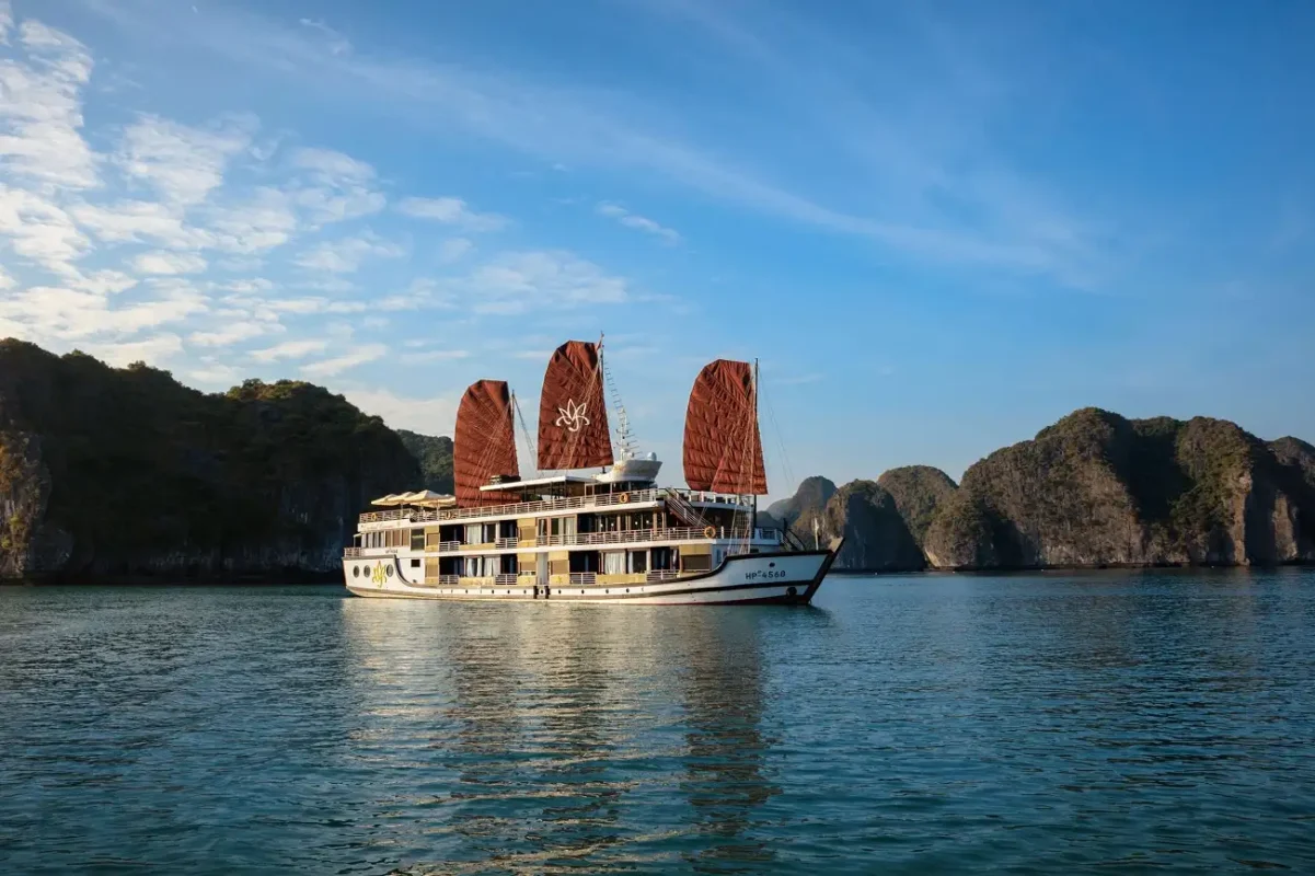 Orchid Cruise Halong Bay Review