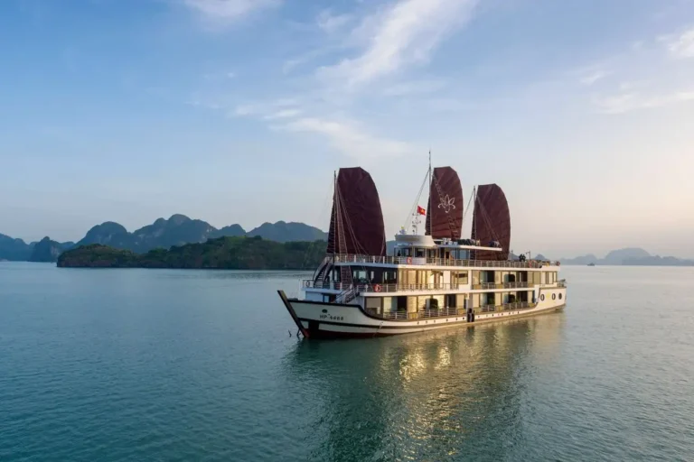 Best Websites to Book Halong Bay Cruises