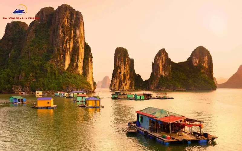 Ha Long Bay Lux Cruises is the address to book tours to Tuan Chau Island