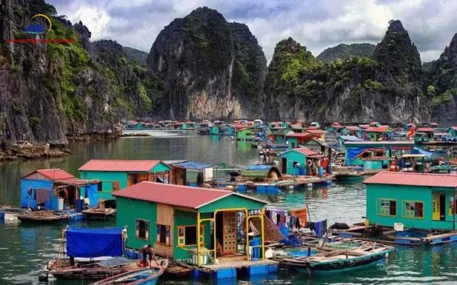 Viet Hai Village: The Ultimate 2026 Travel Guide to Cat Ba’s Hidden Eco-Paradise