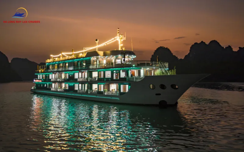 Comprehensive Dora Cruise Review: Cabin Infrastructure and Amenities