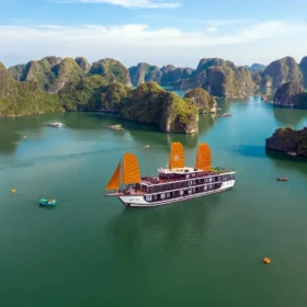 peony-cruises-overview_49907647271_o