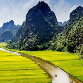 Halong Bay or Ninh Binh in August