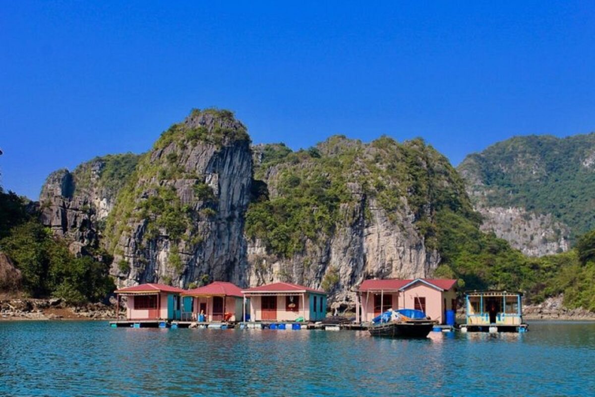 Bai Tu Long Bay Cruise and Ninh Binh Tour