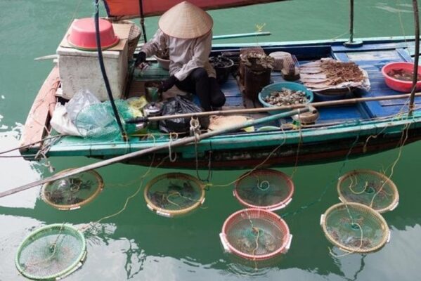 Ha Long Bay Weather in July