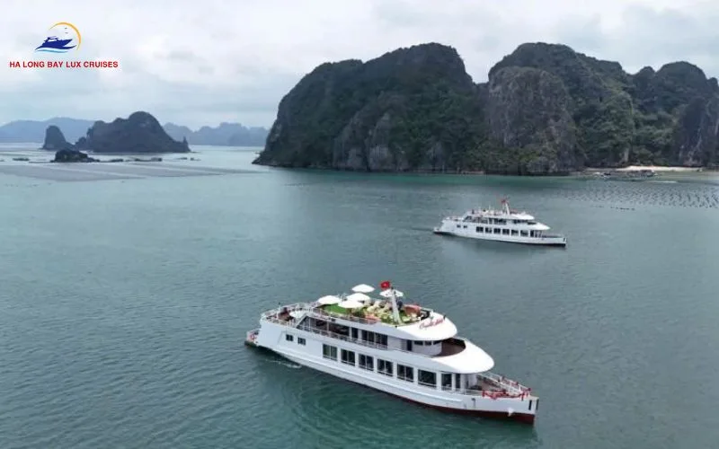 Why Choose the Bai Tu Long Bay 6 Star Cruise?