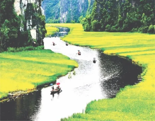 Ninh Binh Weather by Month