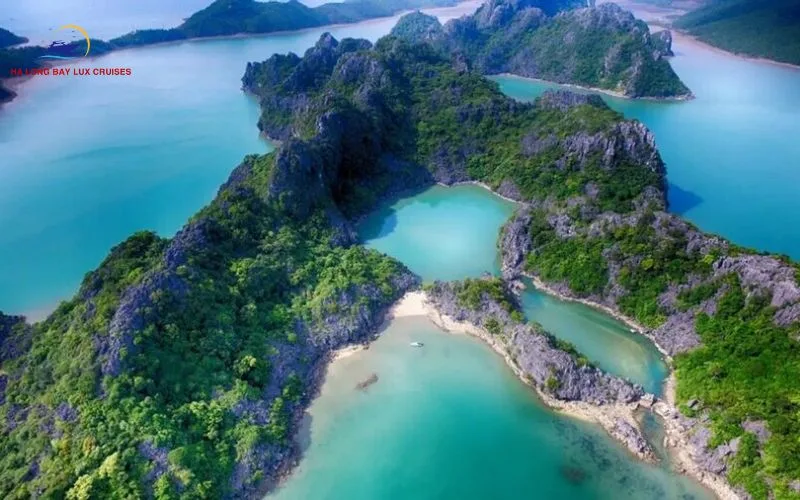 What to Expect on a 3 Days 2 Nights Bai Tu Long Bay Cruise