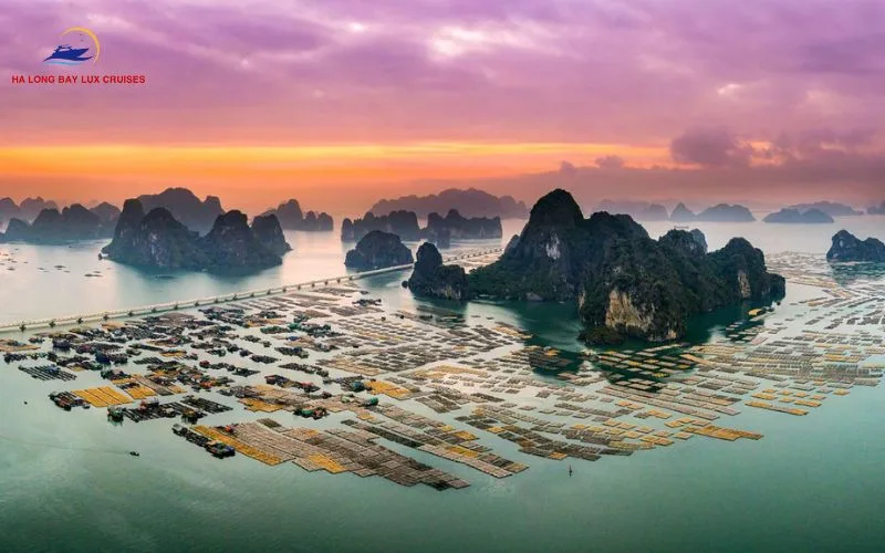 Top 3 Bai Tu Long Bay 3-Day Cruises You Shouldn’t Miss