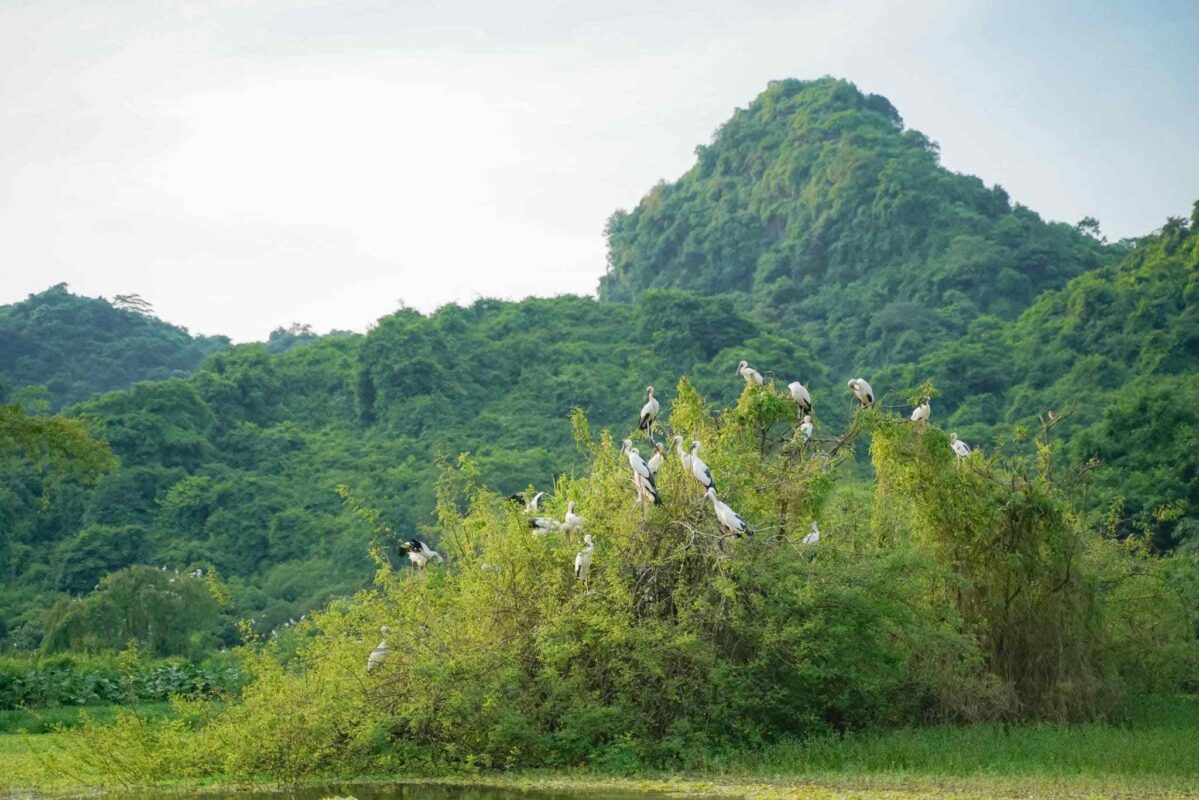 Best time to visit Ninh Binh