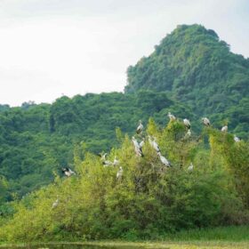 Best time to visit Ninh Binh