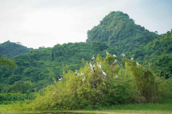 Thung Nham