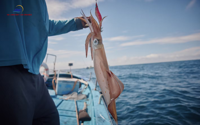 Night Squid Fishing: An Unforgettable Experience at Sea