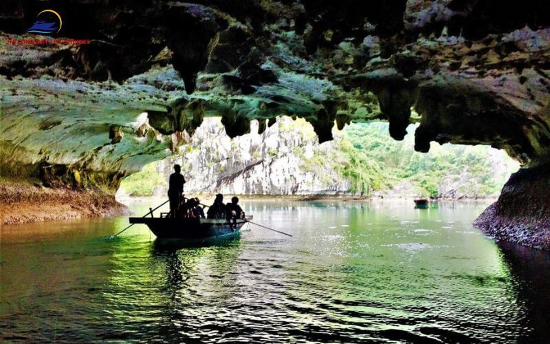 Vietnam's dark cave is a type of natural cave with very little or no sunlight entering its interior. This creates a dim, quiet, and somewhat mysterious atmosphere that captivates those who enjoy adventurous experiences.