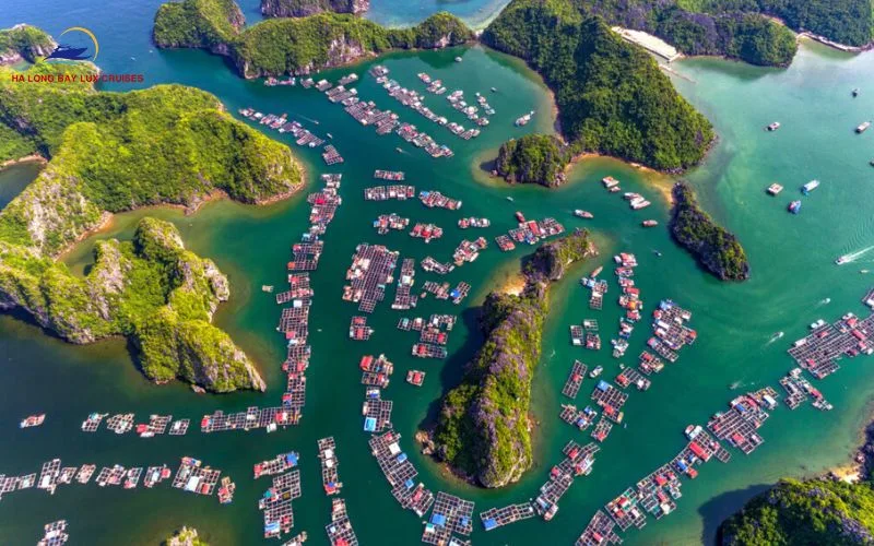 Visit Cua Van fishing village