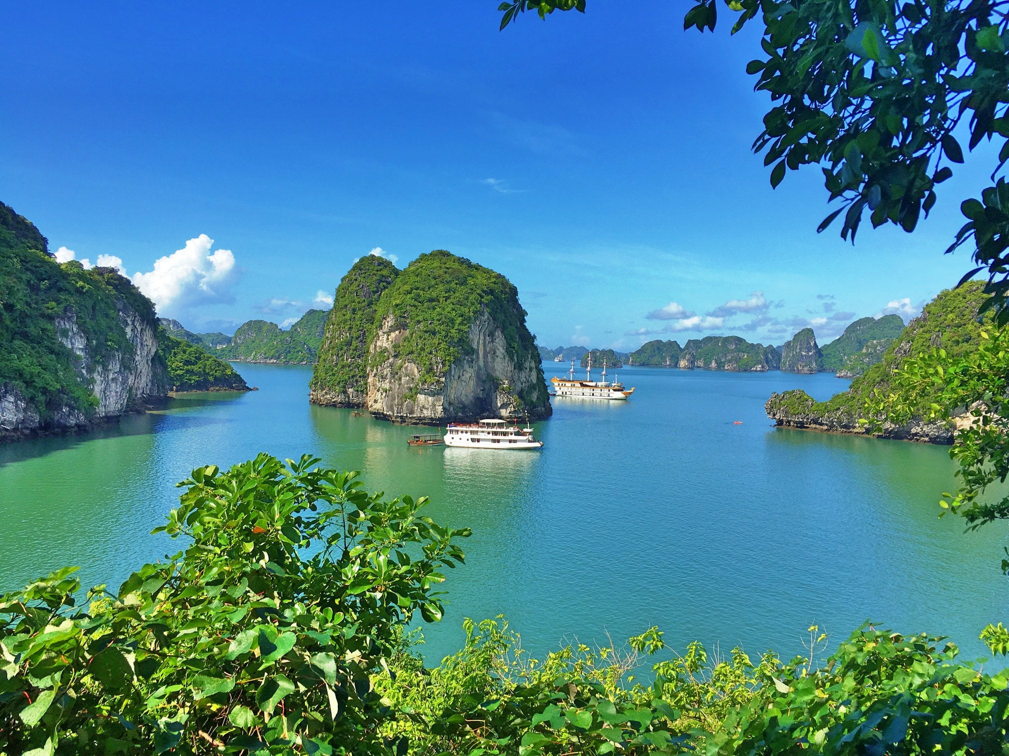 Best Halong Bay Cruise Operators