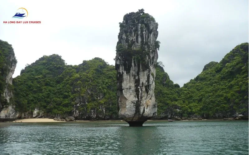 Prepare thoroughly before you go