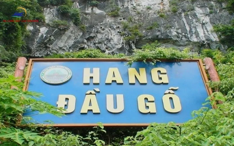 Soft stalactite formations and natural light