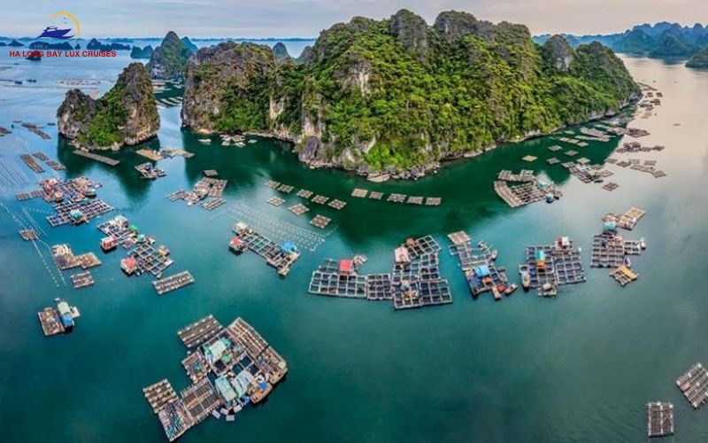 Cua Van Floating Village: A Cultural Heritage Amidst Nature