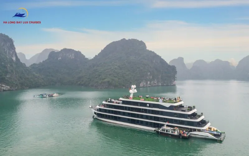 Address for booking tours