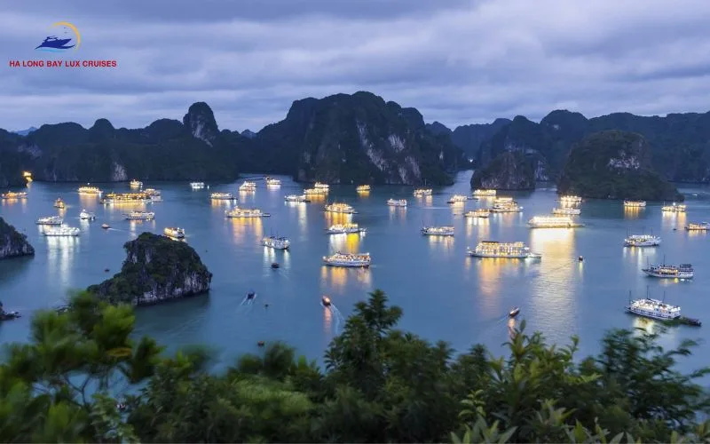 Complete itinerary for a one-night cruise in Halong Bay