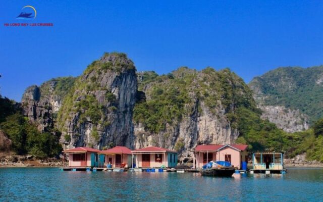 Should You Choose Ha Long Bay Or Lan Ha Bay For Your Cruise Trip?