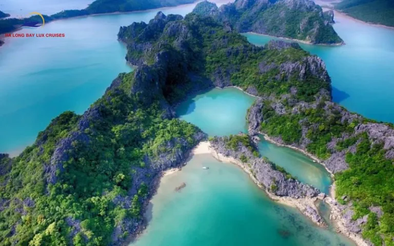 How to get to Bai Tu Long Bay