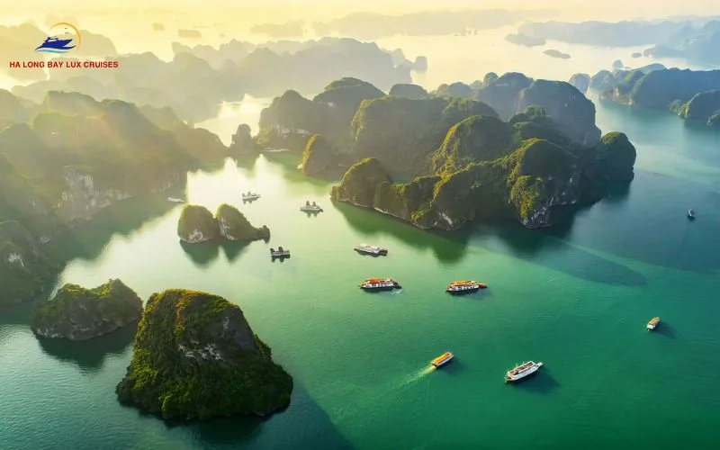 How to get to Bai Tu Long Bay