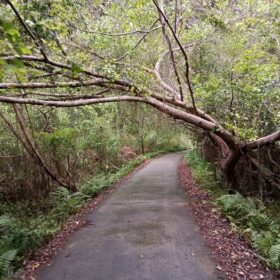 Things to Do in Cat Ba Island in Winter