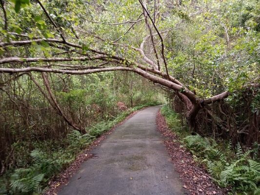 Things to Do in Cat Ba Island in Winter