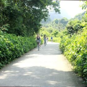 Things to Do in Cat Ba Island in Winter