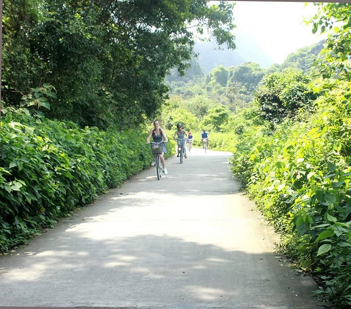 Things to Do in Cat Ba Island in Winter
