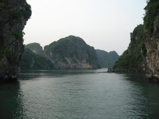 Dolphin In Halong Bay