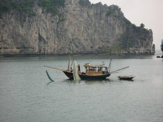 Destinations in Bai Tu Long Bay