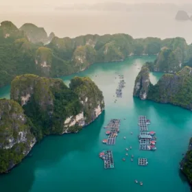 The best seafood in Cat Ba Island l