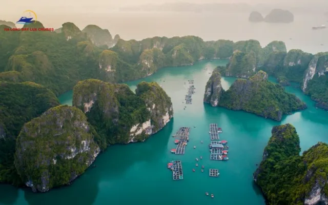 The best seafood in Cat Ba Island l