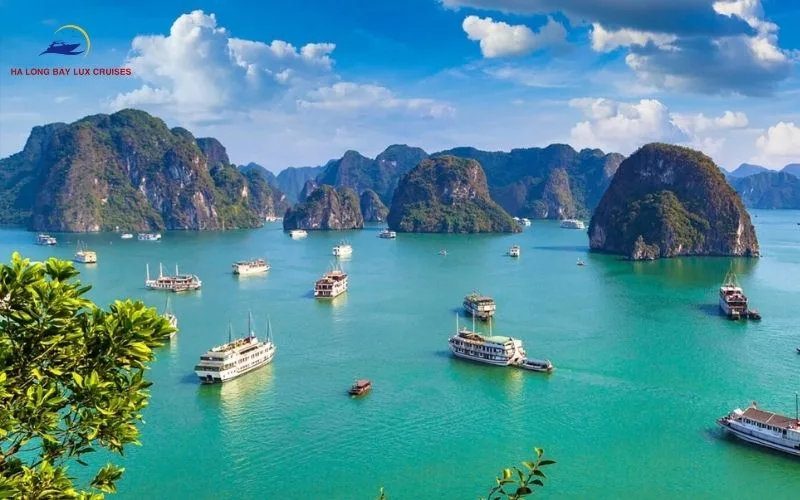 Introduction to Cat Ba Island