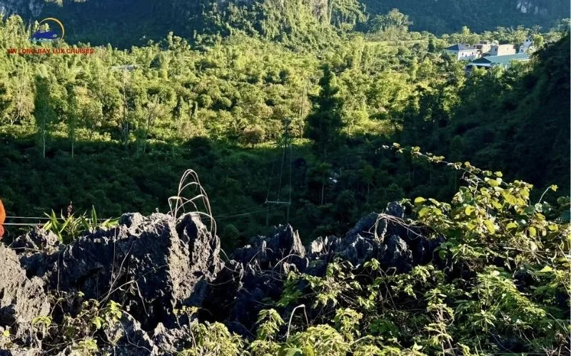 Cai Beo fishing village