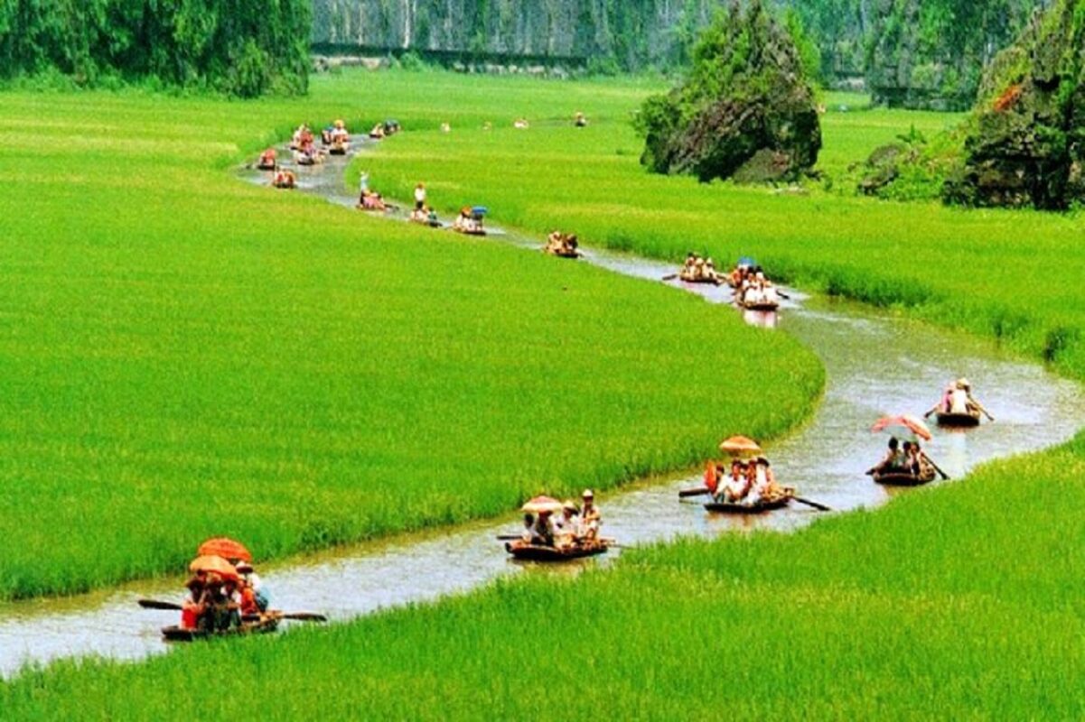 Visit Ninh Binh Rice Fields Season