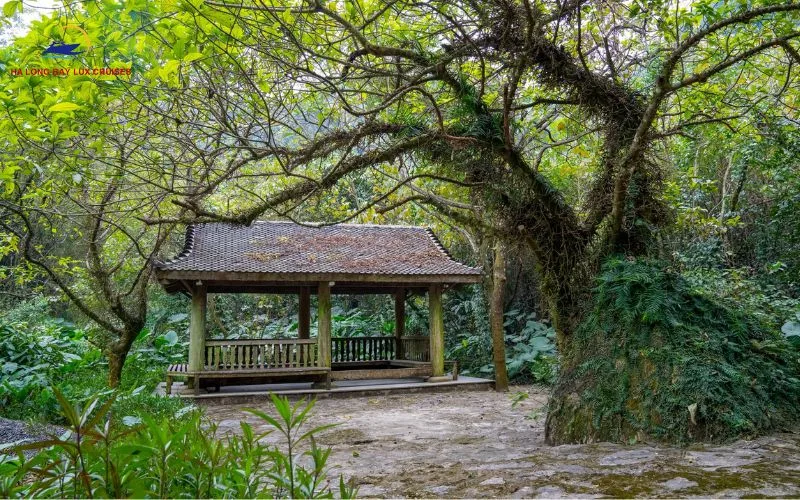 Bai Dinh Pagoda attracts visitors thanks to its large scale and spacious surroundings