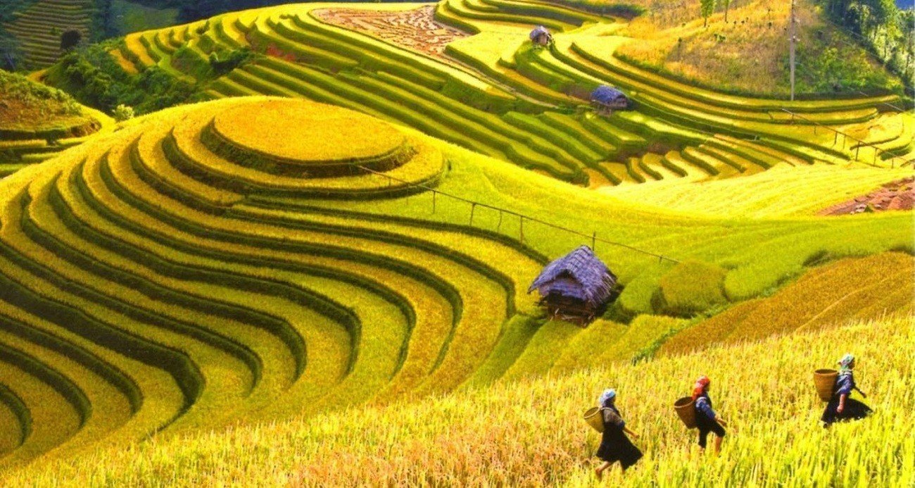 Halong Bay and Sapa Tour Package