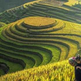 Ha Long Bay Beats Ninh Binh & Sapa