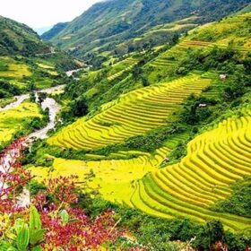 sapa halong bay