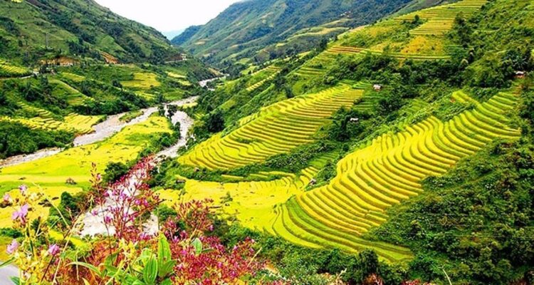 sapa halong bay
