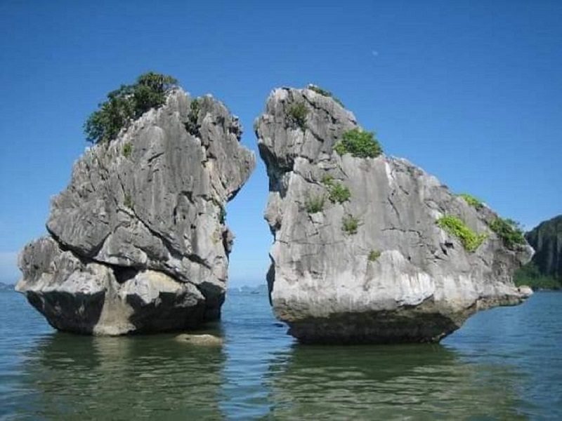 Fighting Cocks Islet