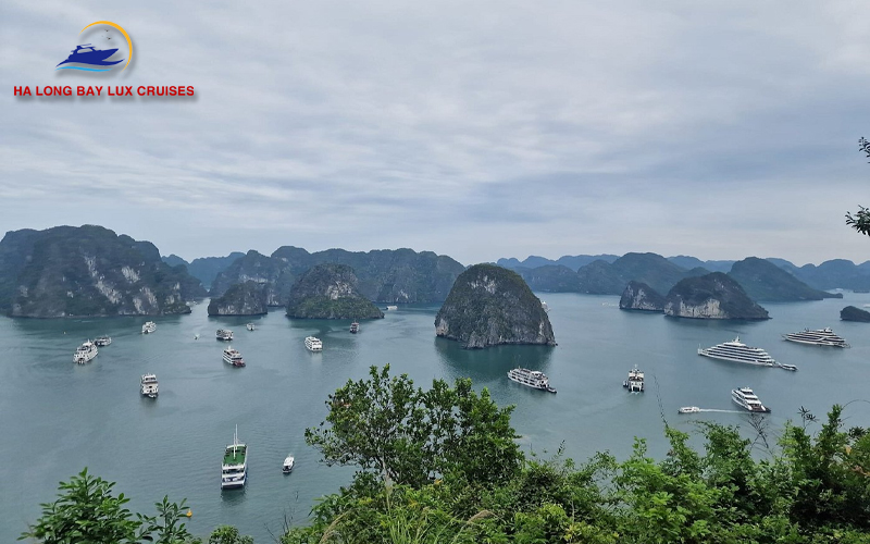 Meaningful environmental and community activities on a 5 star cruise Ha Long