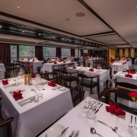 Scarlet Pearl Cruises