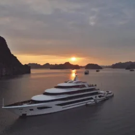 Scarlet Pearl Cruises